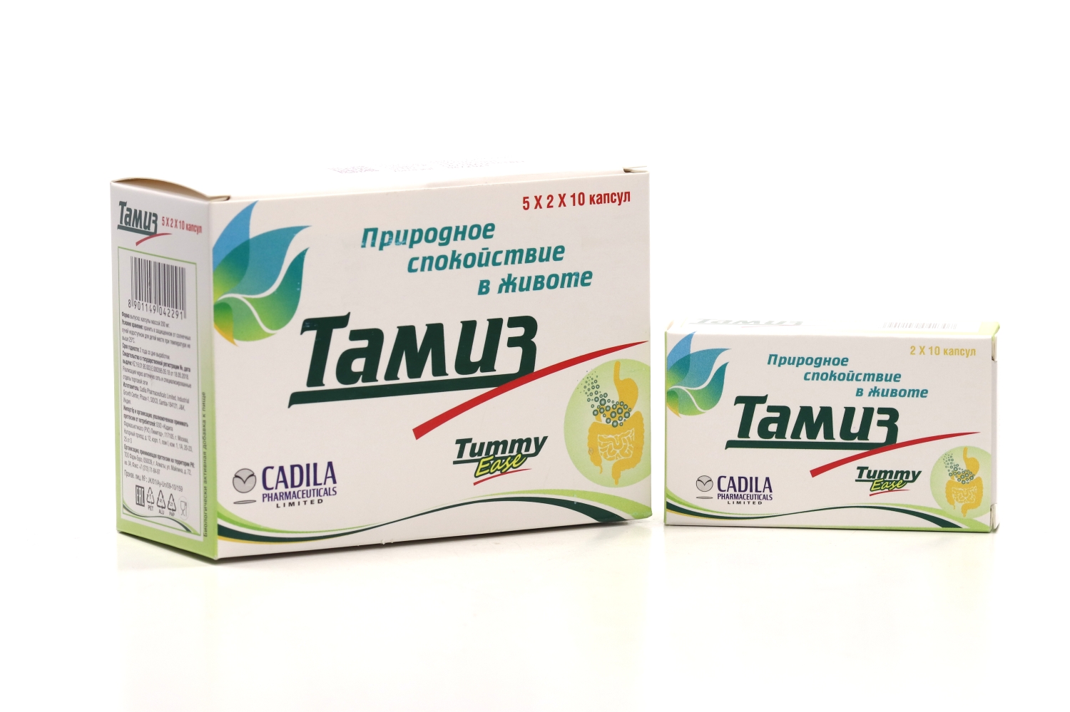 Тамиз препарат инструкция. Тамиз капсулы инструкция. Тамиз капсулы №100. Порошок Тамиз. Раделакс таблетки инструкция